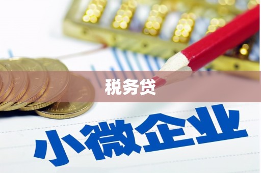 亳州税务贷