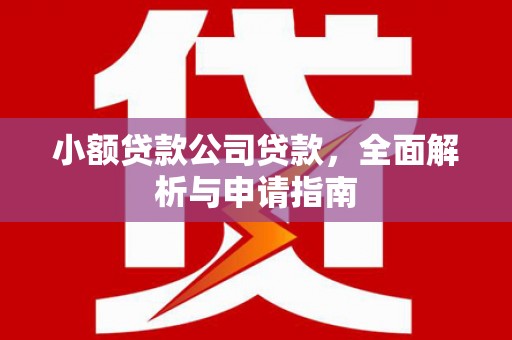亳州小额贷款公司贷款，全面解析与申请指南