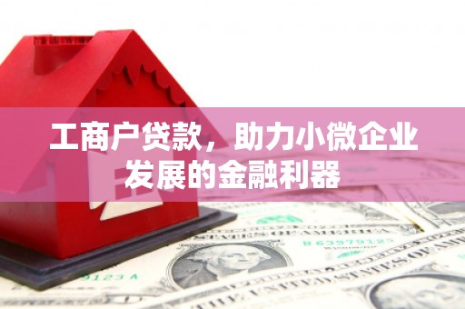 亳州工商户贷款，助力小微企业发展的金融利器