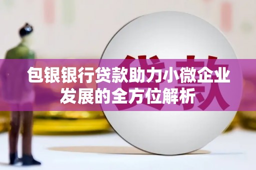 亳州包银银行贷款助力小微企业发展的全方位解析