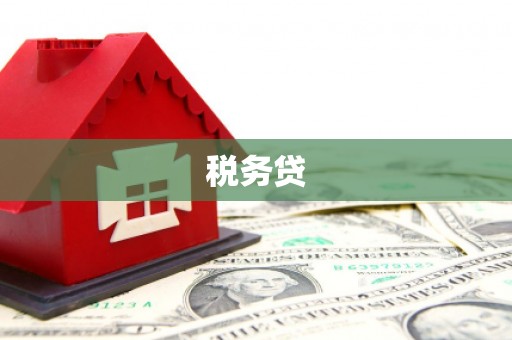 亳州税务贷