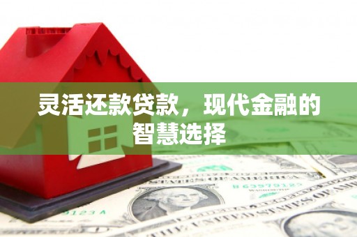 亳州灵活还款贷款，现代金融的智慧选择