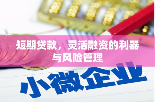 亳州短期贷款，灵活融资的利器与风险管理