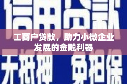 亳州工商户贷款，助力小微企业发展的金融利器
