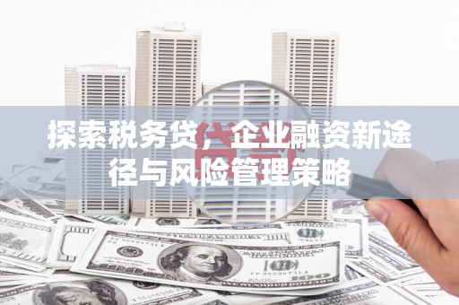 亳州探索税务贷，企业融资新途径与风险管理策略