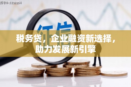 亳州税务贷，企业融资新选择，助力发展新引擎