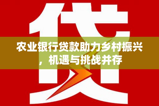 亳州农业银行贷款助力乡村振兴，机遇与挑战并存