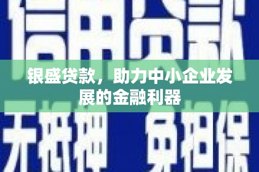 亳州银盛贷款，助力中小企业发展的金融利器
