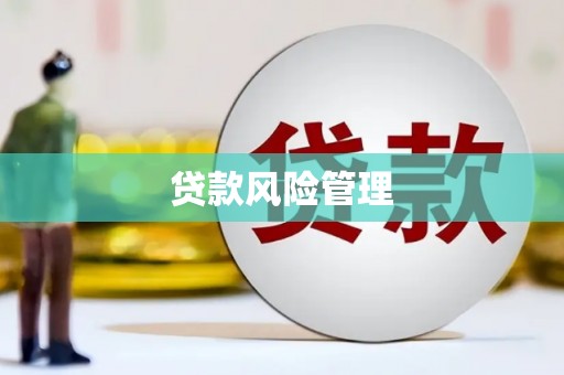 亳州贷款风险管理