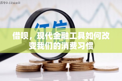 亳州借呗，现代金融工具如何改变我们的消费习惯