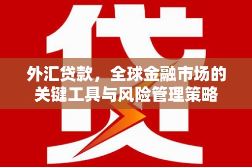亳州外汇贷款，全球金融市场的关键工具与风险管理策略