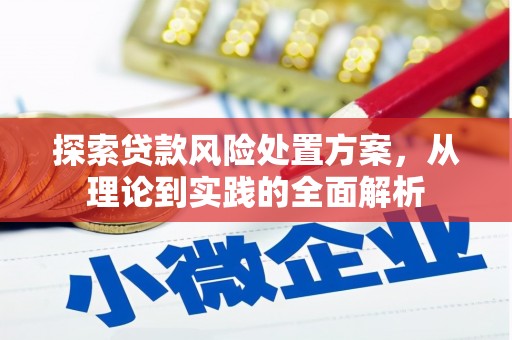 亳州探索贷款风险处置方案，从理论到实践的全面解析