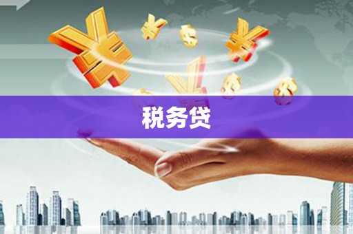 亳州税务贷
