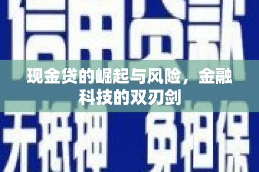 亳州现金贷的崛起与风险，金融科技的双刃剑