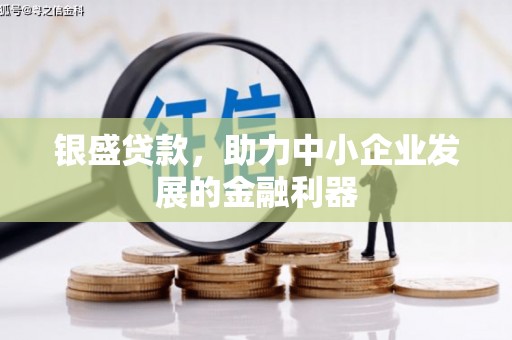 亳州银盛贷款，助力中小企业发展的金融利器