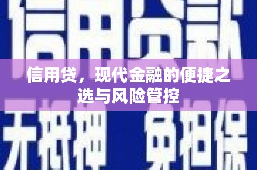 亳州信用贷，现代金融的便捷之选与风险管控