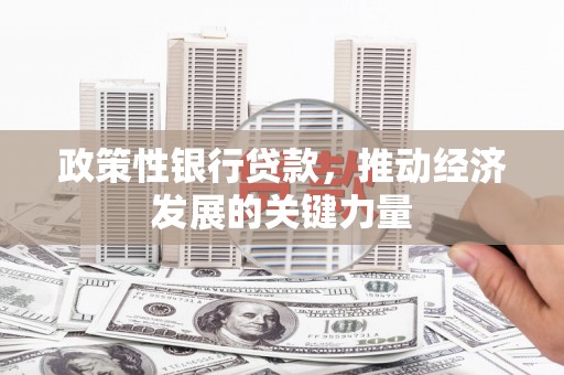 亳州政策性银行贷款，推动经济发展的关键力量