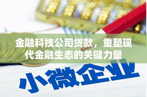 亳州金融科技公司贷款，重塑现代金融生态的关键力量