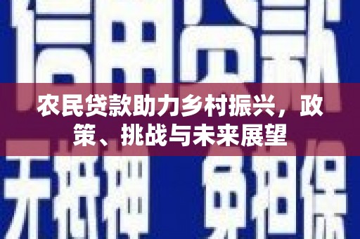 亳州农民贷款助力乡村振兴，政策、挑战与未来展望