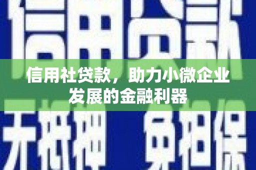 亳州信用社贷款，助力小微企业发展的金融利器