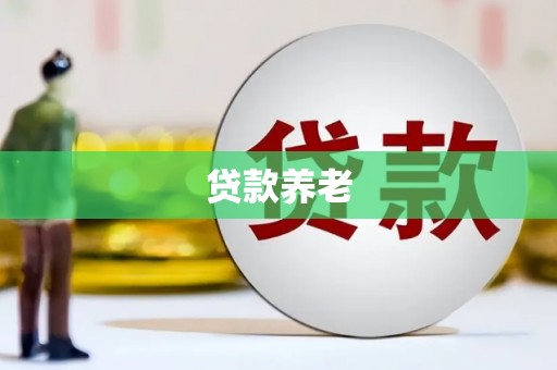 亳州贷款养老