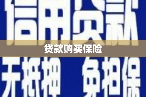 亳州贷款购买保险