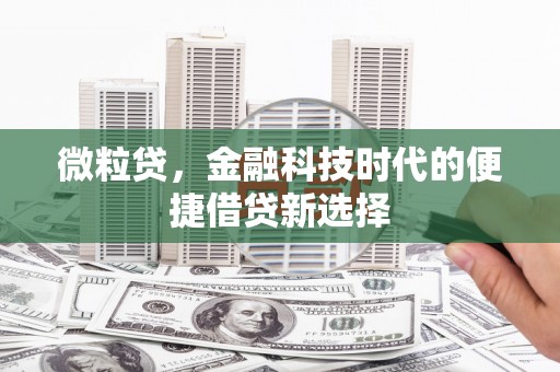 亳州微粒贷，金融科技时代的便捷借贷新选择