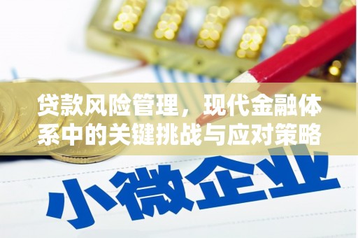 亳州贷款风险管理，现代金融体系中的关键挑战与应对策略