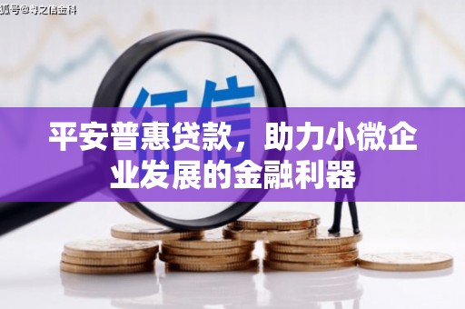 亳州平安普惠贷款，助力小微企业发展的金融利器
