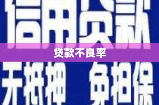 亳州贷款不良率