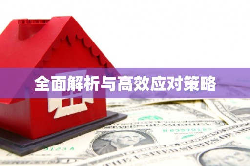 亳州全面解析与高效应对策略